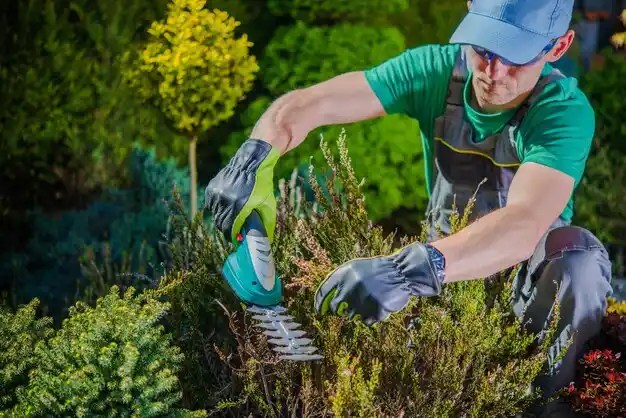 landscaping services Blue Hill